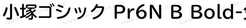 小塚ゴシック Pr6N B Bold字体转换